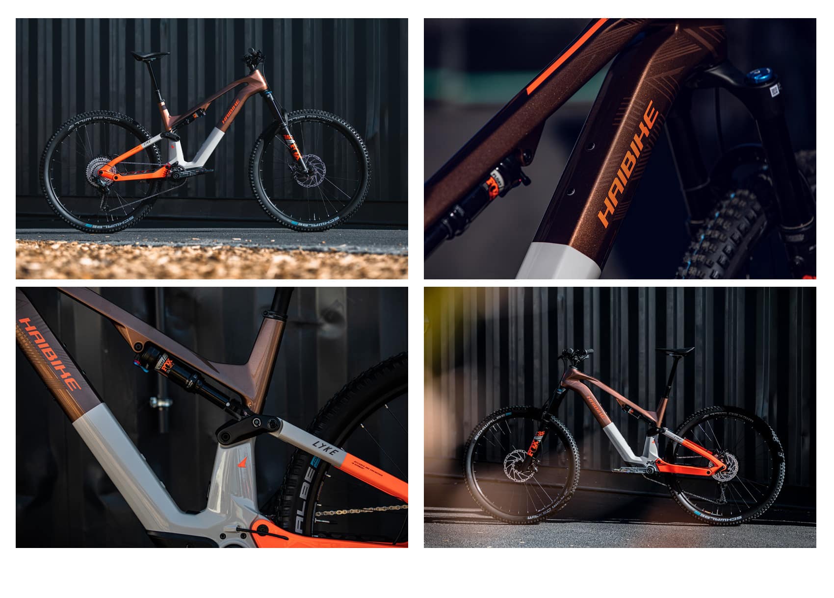 Fotos Haibike Lyke 10